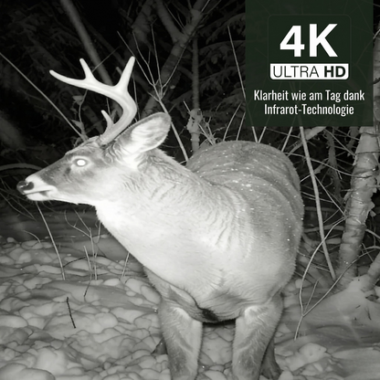 Caméra de chasse Solaire 4K