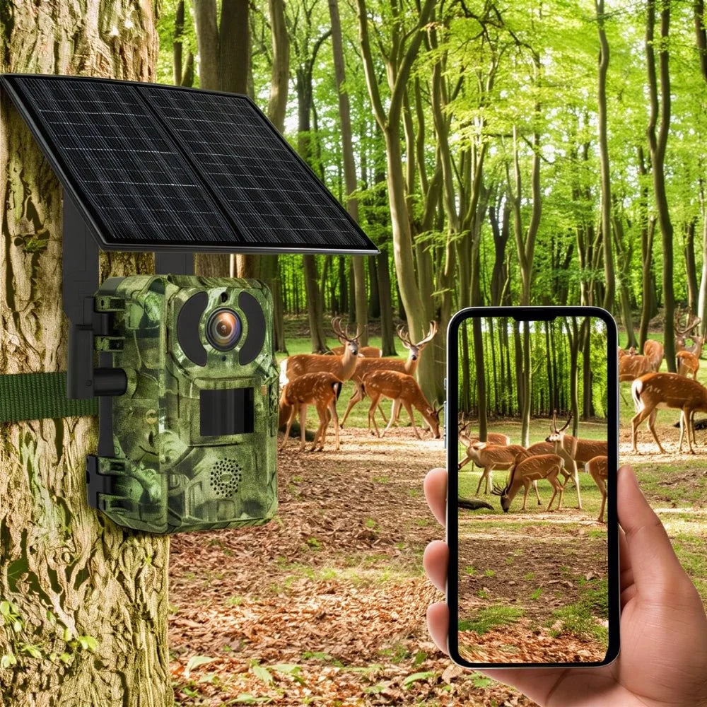 Caméra de chasse 4G solaire 4K