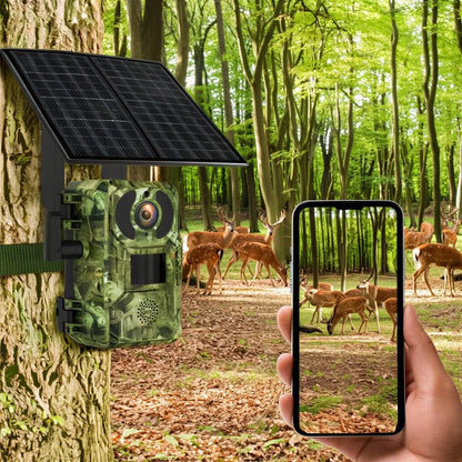 Caméra de chasse 4G solaire 4K