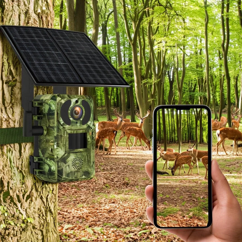 Caméra de chasse 4G solaire 4K