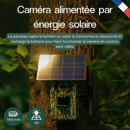 Caméra de chasse 4G solaire 4K