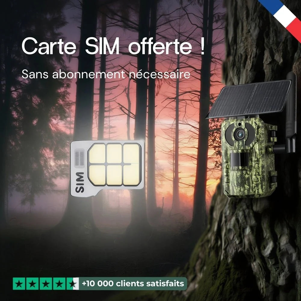 Caméra de chasse 4G solaire 4K