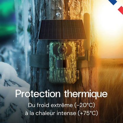 Caméra de chasse 4G solaire 4K