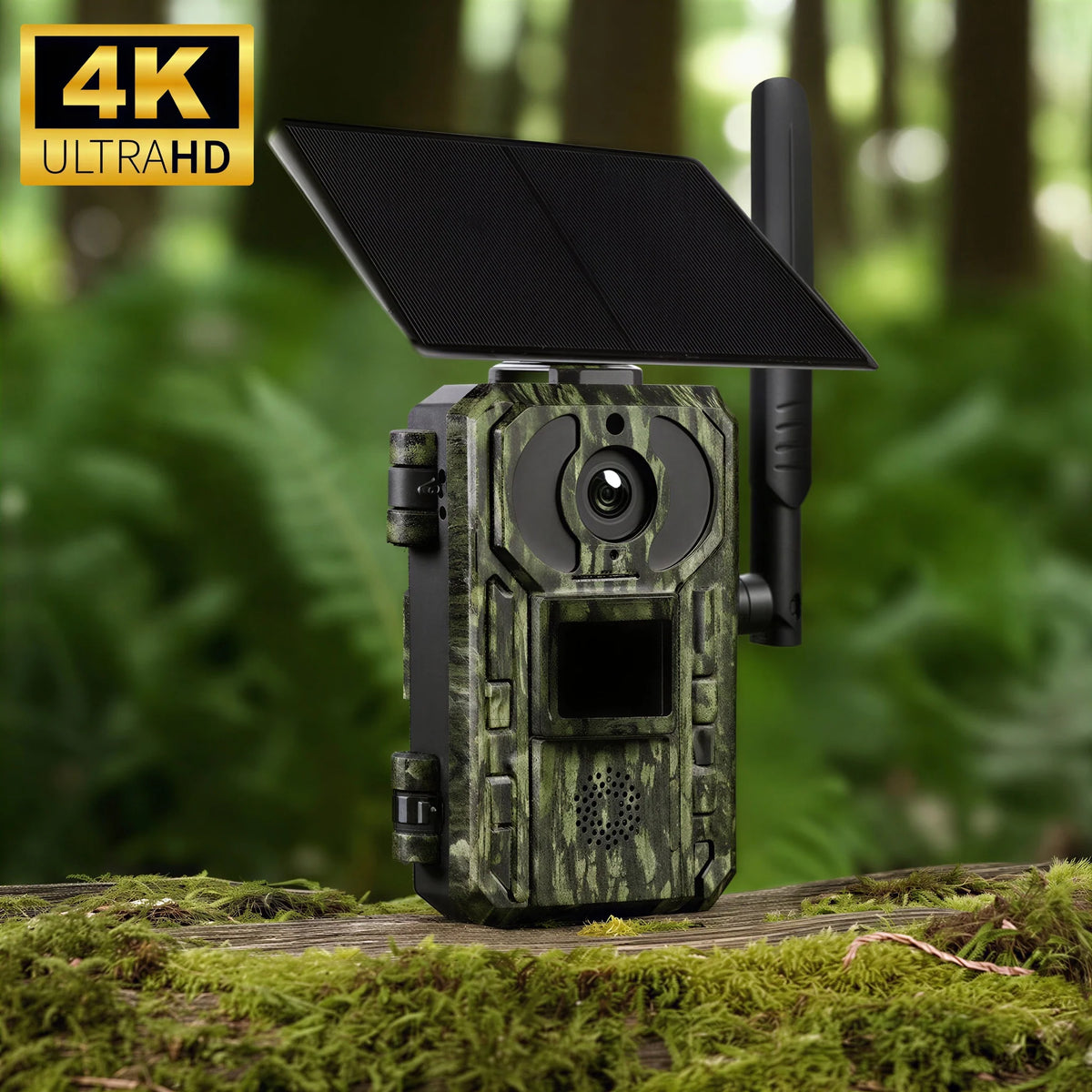 Caméra de chasse 4G solaire 4K
