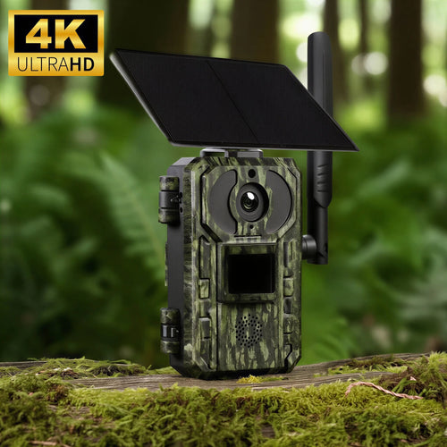 Caméra de chasse 4G solaire 4K