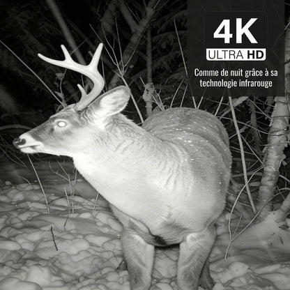Caméra de chasse Solaire 4K