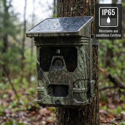 Caméra de chasse Solaire 4K
